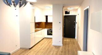 Newly built, well-distributed living room + bedroom apartment for rent in Illés utca