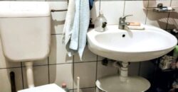 Erdővel határolt csendes környezet, jó levegővel