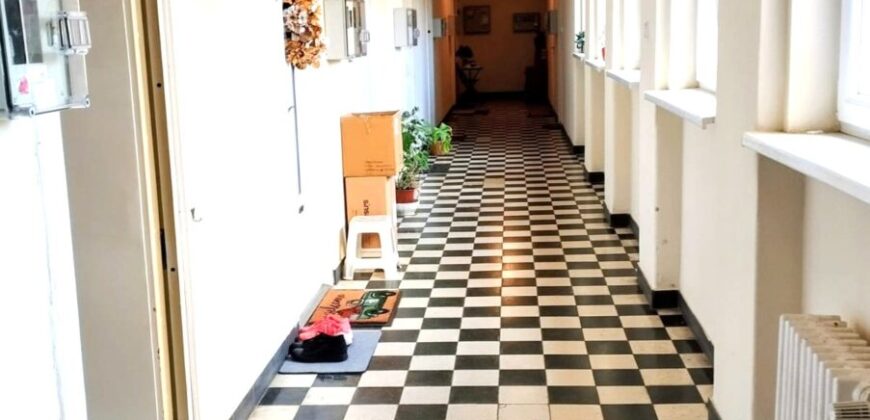 Erdővel határolt csendes környezet, jó levegővel